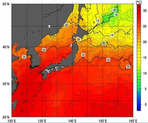 海水温下がったよ