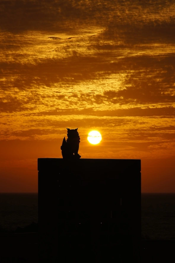 夕陽の写真を撮るときに気をつけていること